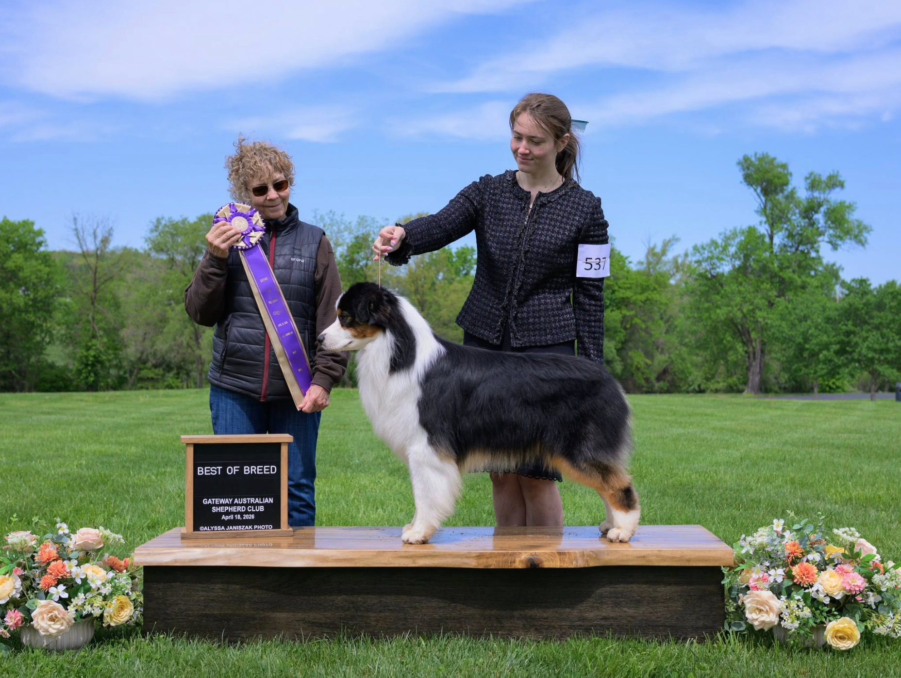 Boys — Vinelake Australian Shepherds